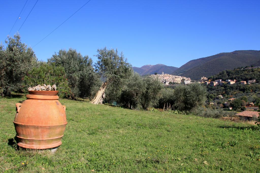 B&B Colle Perrini Country House Casperia Eksteriør bilde