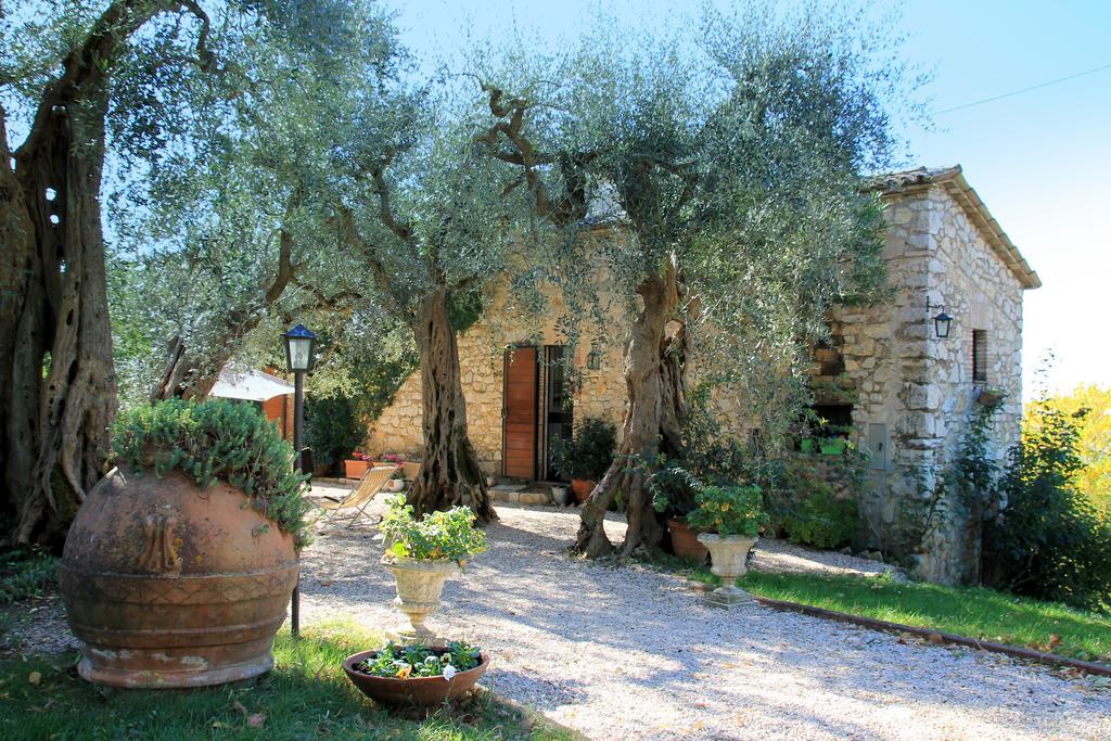 B&B Colle Perrini Country House Casperia Eksteriør bilde